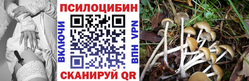 закладка Ангарск Галлюциногенные грибы мицелий