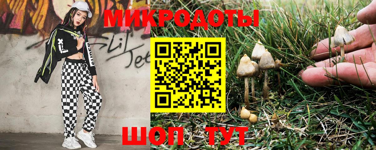 Псилоцибиновые грибы Cubensis  Псилоцибиновые грибы Psilocybine cubensis  Ангарск  Вход с VPN 